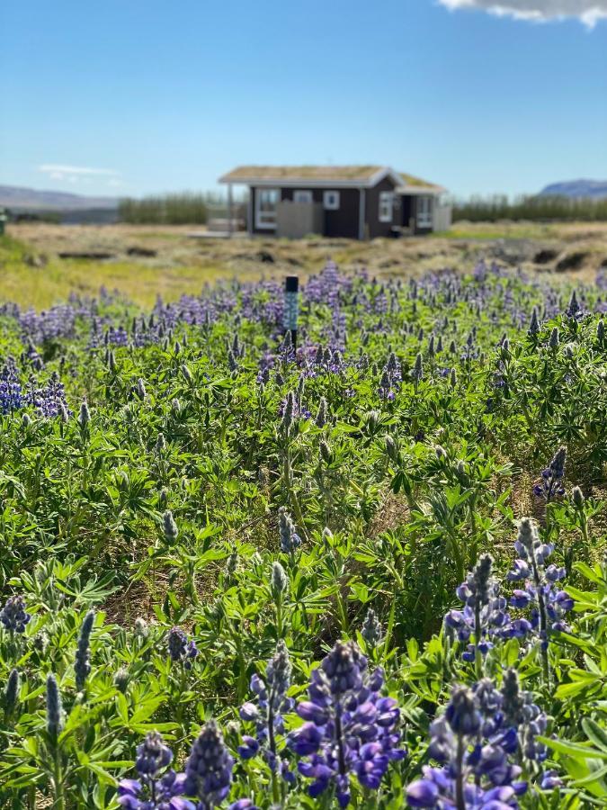 Blue View Cabin 5B With Private Hot Tub Reykholt  Buitenkant foto